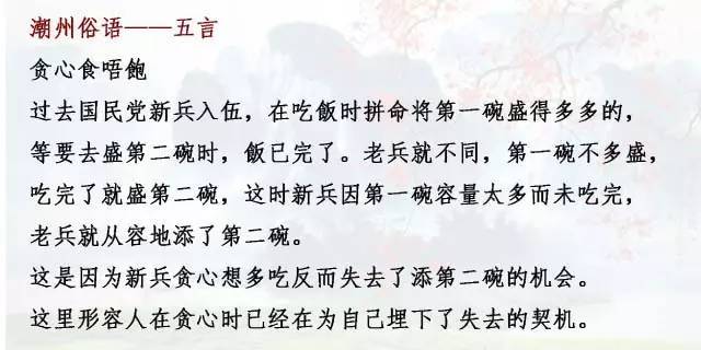 火鳳凰玄機(jī)，一場幽默與智慧的奇妙之旅 詮釋說明解析，現(xiàn)狀評(píng)估解析說明_升級(jí)版57.91.75