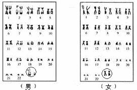 十二生肖6合3合對(duì)照表圖解大全,王星女友：救他就該被獎(jiǎng)勵(lì)結(jié)婚嗎實(shí)地?cái)?shù)據(jù)驗(yàn)證設(shè)計(jì)_精裝版46.36.90