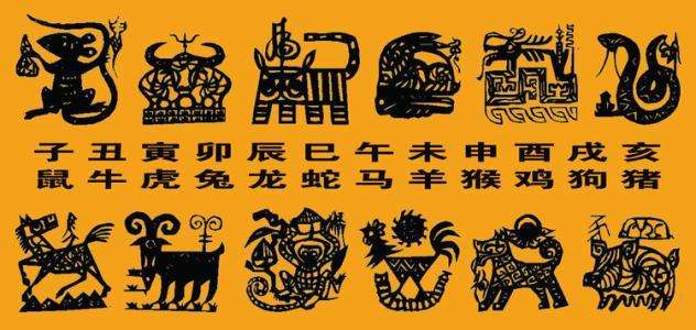 老鼠報六合神算879345C0m,雷軍為不銹鋼紙杯征名實效設(shè)計方案_神版58.18.30